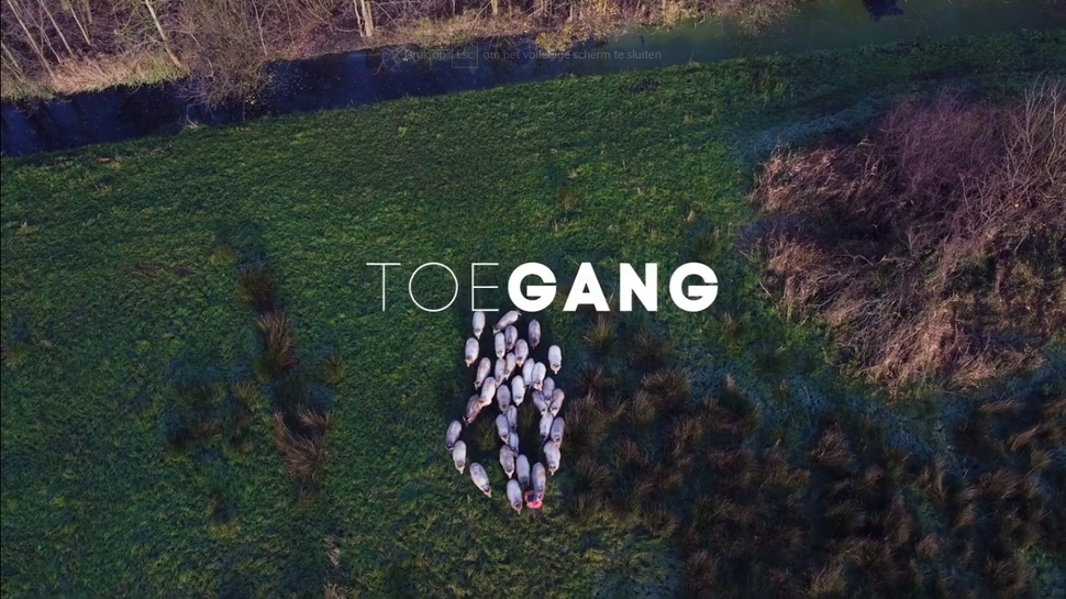 Toegang