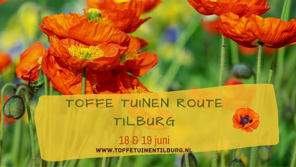 Toffe Tuinen Tilburg.jpg